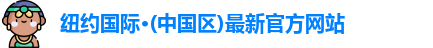 纽约国际